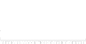 60 Plus Association